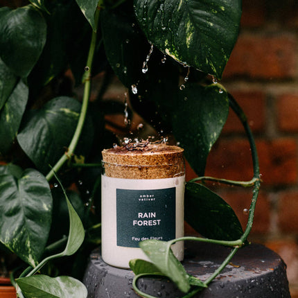 Bougie Forêt Tropicale - 50gr